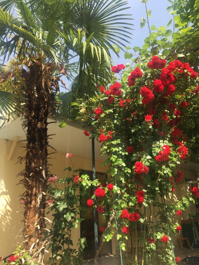Bed and Breakfast House 41 Tbilisi Esterno foto